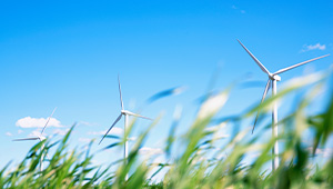 產(chǎn)品動(dòng)態(tài)